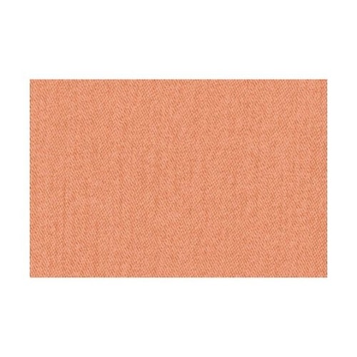 ロビーチェア背付 背アイボリー座コーラル