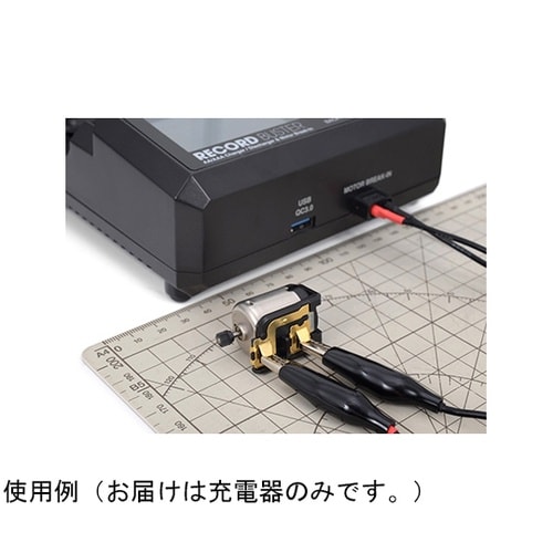 Record Buster AA/AAA