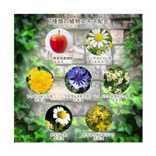 美ルル ウォータリースムースジェル KR