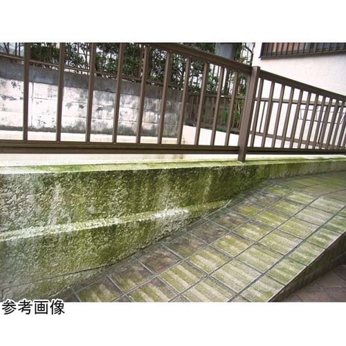 キエール コケ・カビ