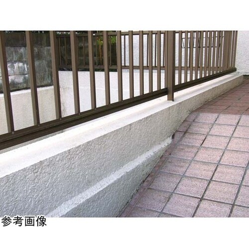 キエール コケ・カビ