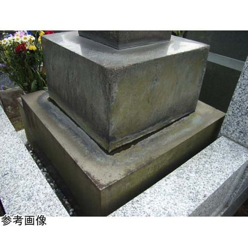 キエール コケ・カビ