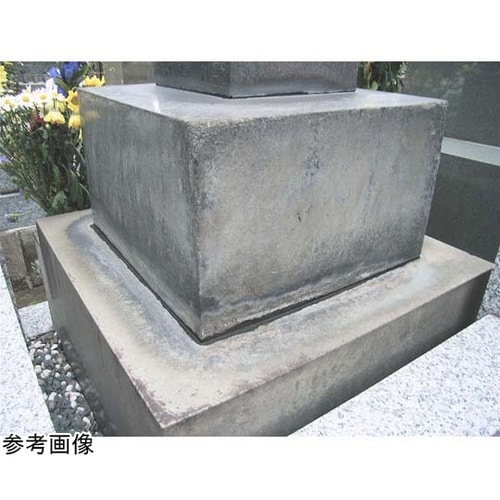 キエール コケ・カビ