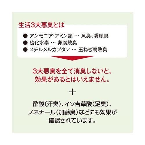 ナチュラルフレッシャー GT(消臭剤)