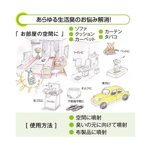 ナチュラルフレッシャー GT(消臭剤)