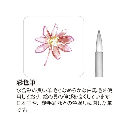 絵手紙入門筆 3本組×5セット入 PN/