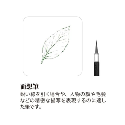 絵手紙入門筆 3本組×5セット入 PN/
