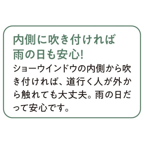 ふきとりん スノースプレー拭き取り 15