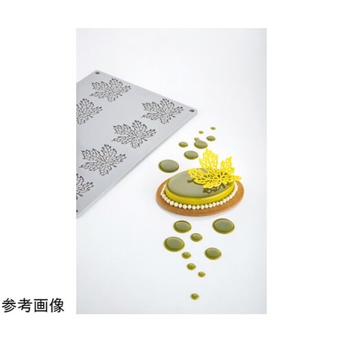 グラマンド メープル GG049