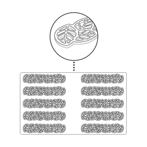 パボデコアー リーブス3 PR003