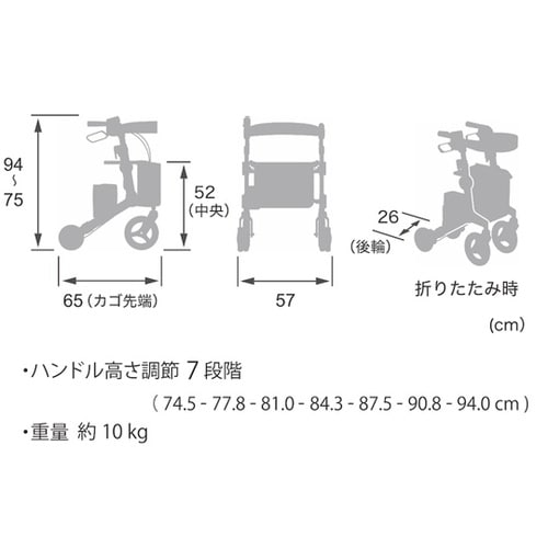 ロボットアシストウォーカー RT3−01