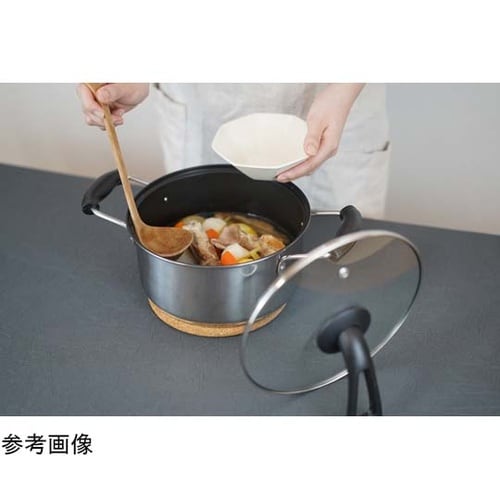ステンスター IH対応両手鍋 22cm