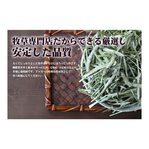 牧草市場 スーパープレミアムチモシー 1
