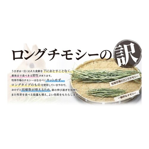 牧草市場 スーパープレミアムチモシー 1