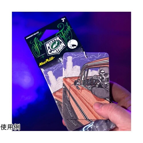 Turtle Wax/Mister Ca