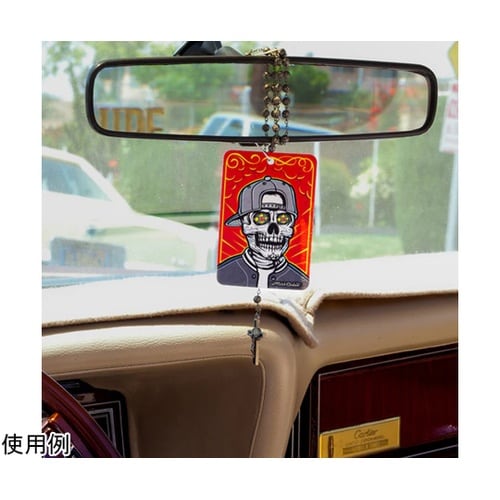 Turtle Wax/Mister Ca