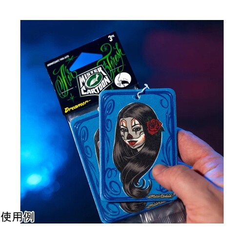 Turtle Wax/Mister Ca