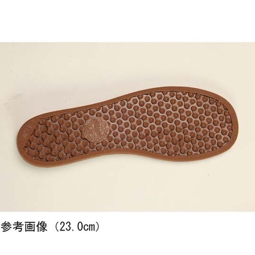 足元応援 白 25.0cm GM503