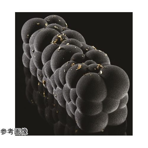 パボケーキ アトミック(Atomic)