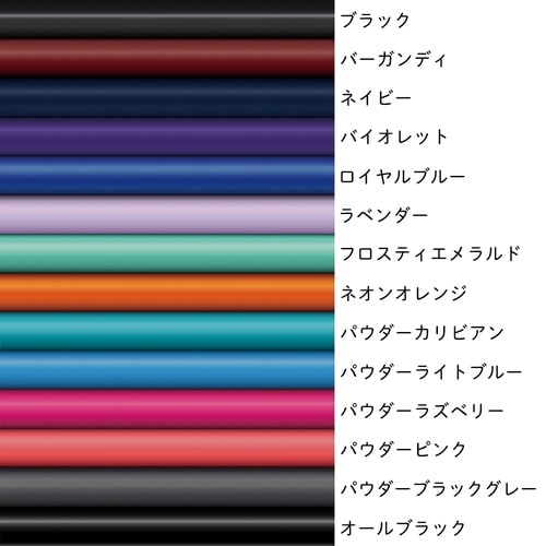 ADスコープ クリニシャンステトスコープ