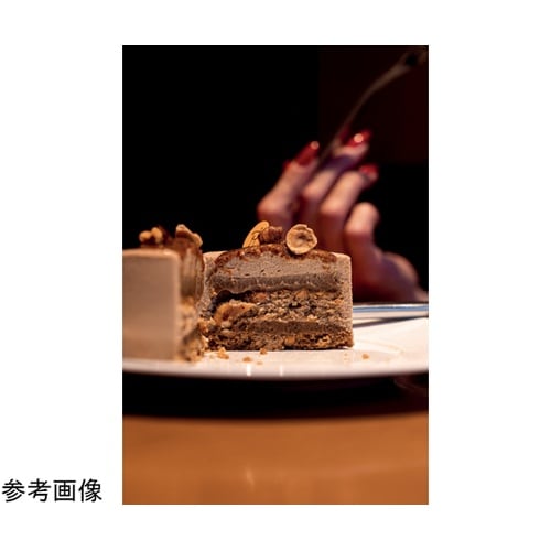 パボフレックス 400x300mm シリ