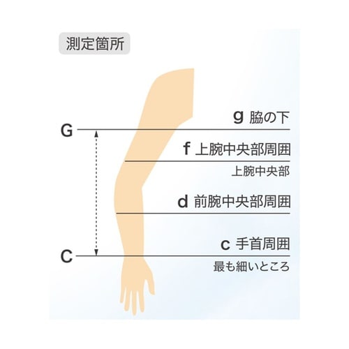 上肢用ストッキング クラスII(RALク