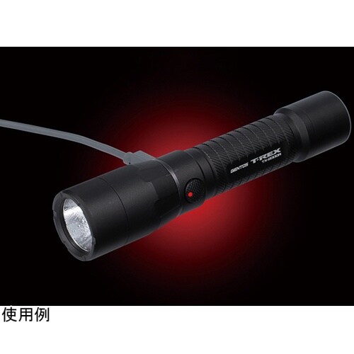 T−REX 2000LM ハンディトーチ
