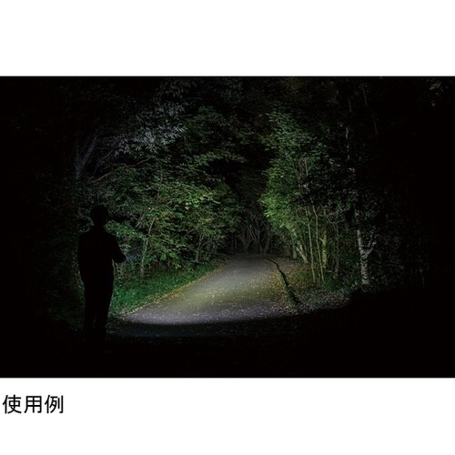 T−REX 2000LM ハンディトーチ