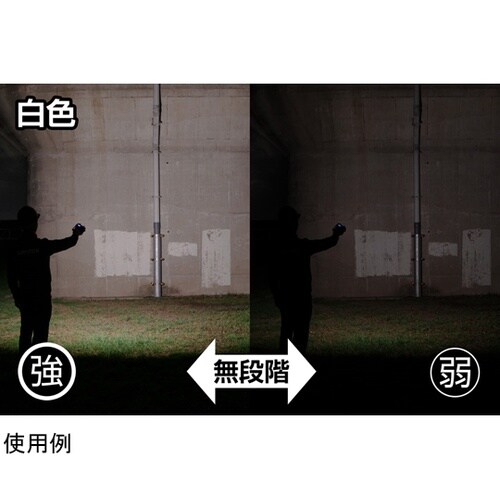 Ganz 投光器 1000ルーメン GZ