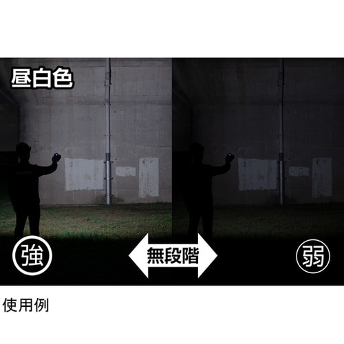 Ganz 投光器 1000ルーメン GZ