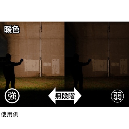 Ganz 投光器 1000ルーメン GZ