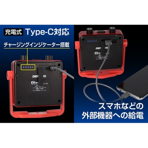 Ganz 投光器 1000ルーメン GZ