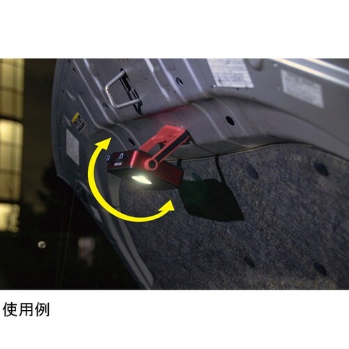 Ganz 投光器 1000ルーメン GZ