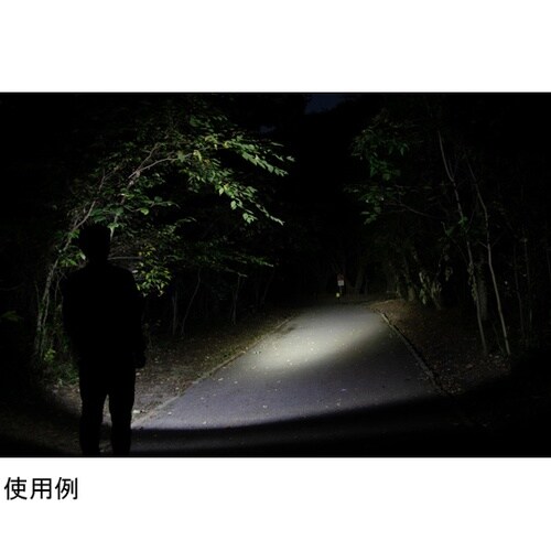 Onezシリーズ フラッシュライト ネッ