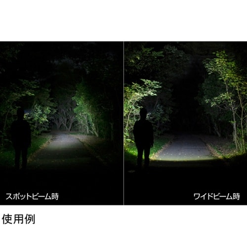 ヘッドライト W STAR シリーズ 3