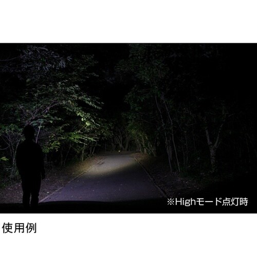 ヘッドライト GDシリーズ 350ルーメ