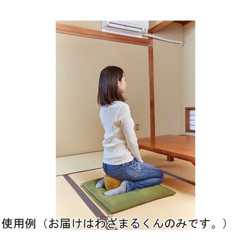 わざまるくん(正座用クッション)からし