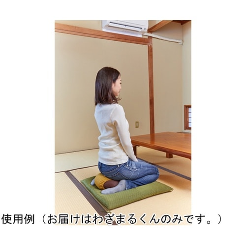 わざまるくん(正座用クッション)からし