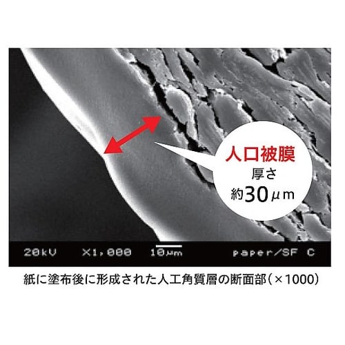 手荒れ保護皮膜ジェル フィルムスキン F