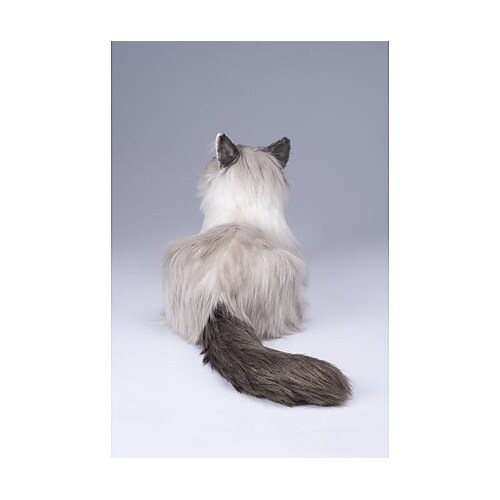 なでなで猫ちゃん ラグドール