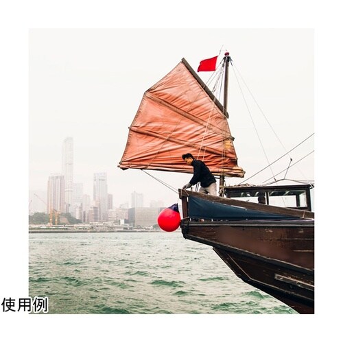 ポリフォーム ブイ A2 Red 39×