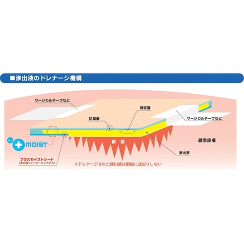プラスモイストEX 5枚入 0B12B1