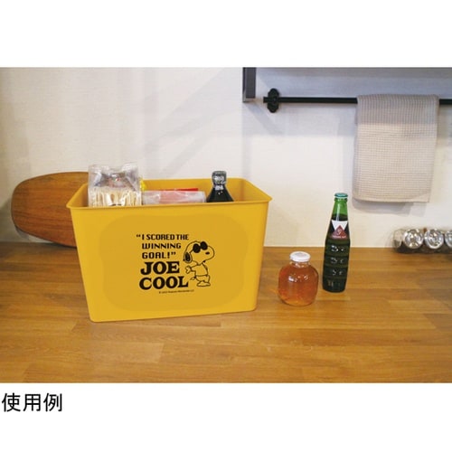 スヌーピー コレクトBОX(L)DY