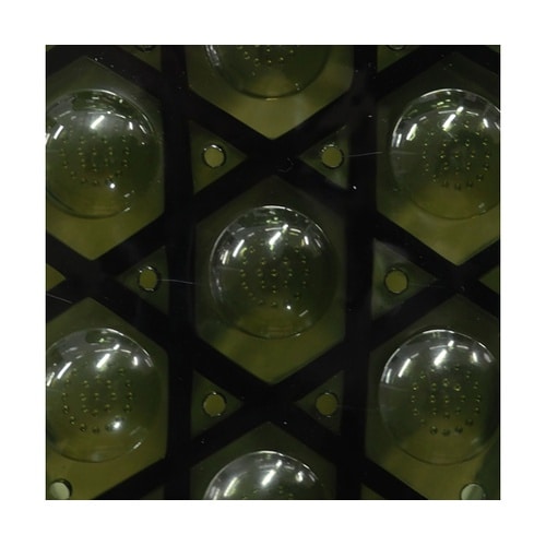 サンダル Botanico オリーブ