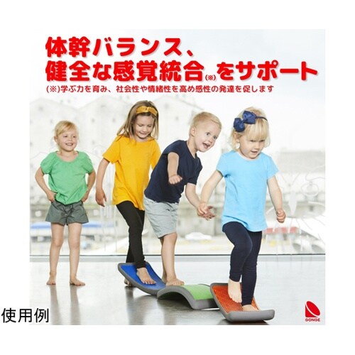ゴンゲ・アーチ 理学療法士監修 2163