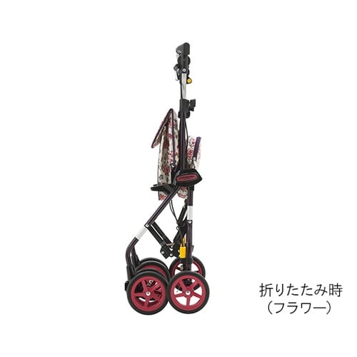 ライトステップタイニーWヌーボー オリー