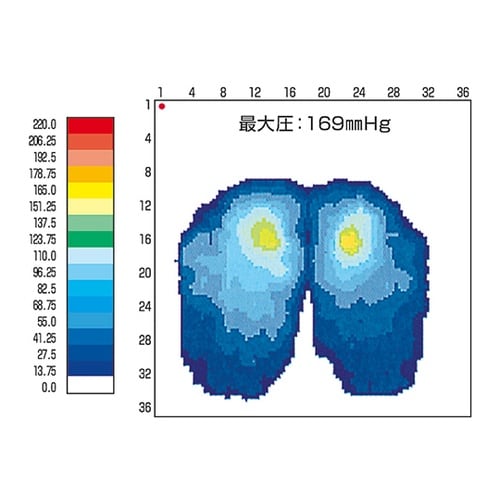 ピュアライフエアークッション TC100