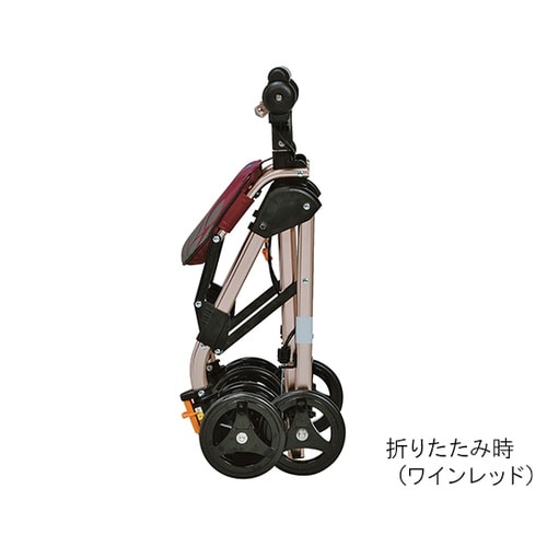 テイコブナノンDX CPS02WN