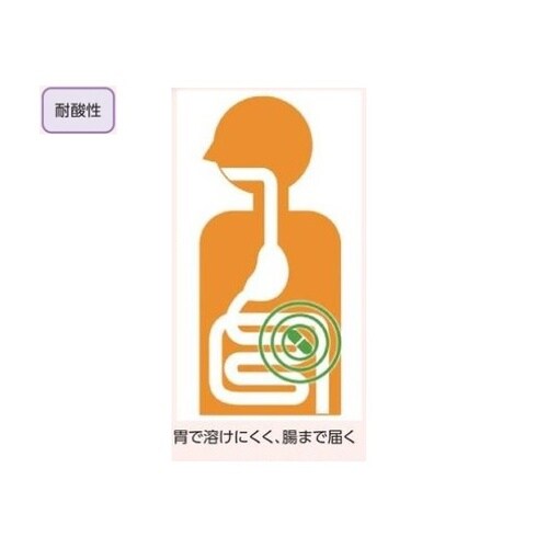 0号 100 DRカプセル 100個入