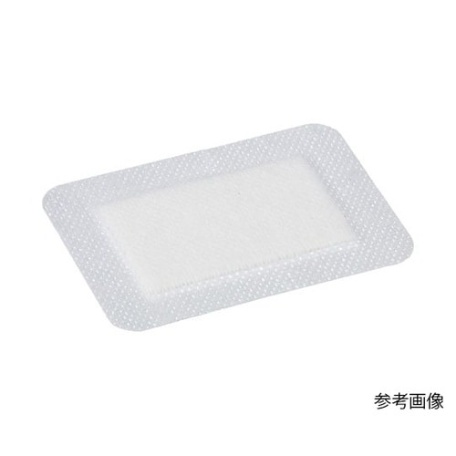 プリマポア 250×100mm 1箱(2